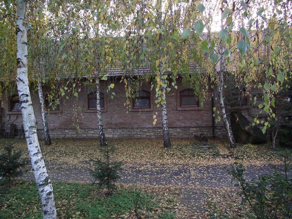 Hotel Szalma Vendeghaz Mogyorosbanya Exterior foto
