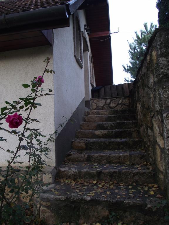 Hotel Szalma Vendeghaz Mogyorosbanya Exterior foto