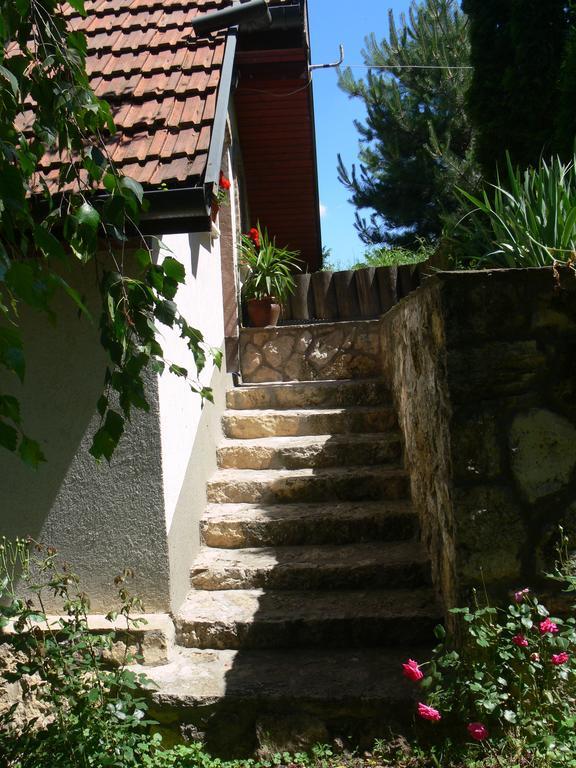 Hotel Szalma Vendeghaz Mogyorosbanya Exterior foto