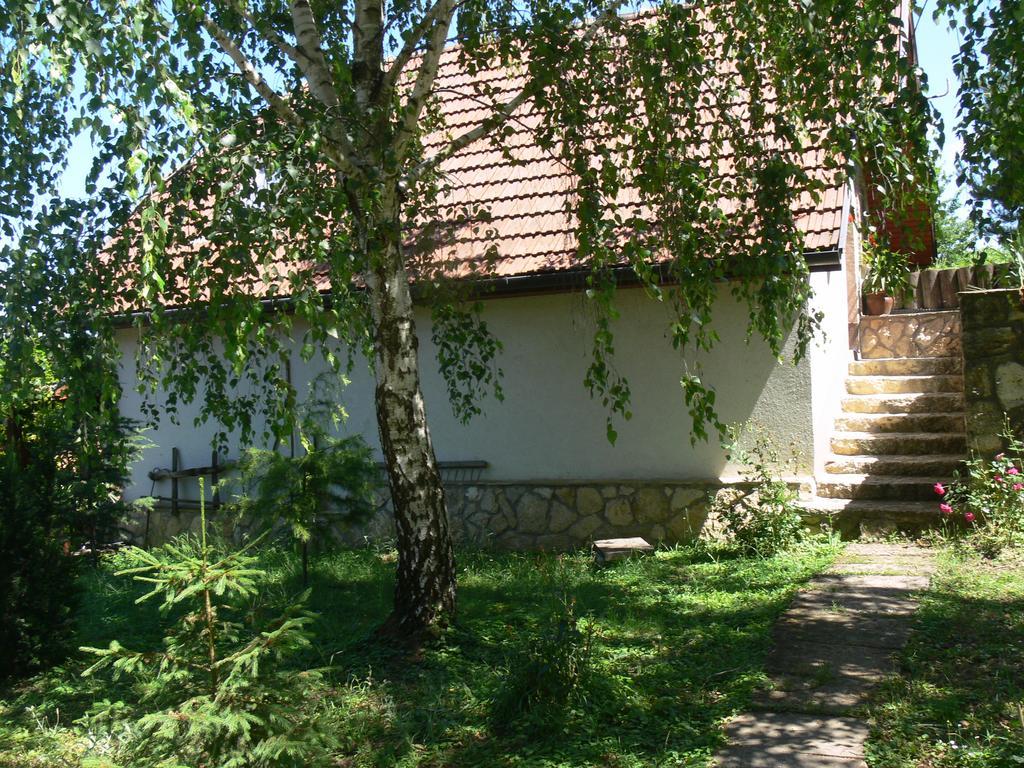Hotel Szalma Vendeghaz Mogyorosbanya Exterior foto
