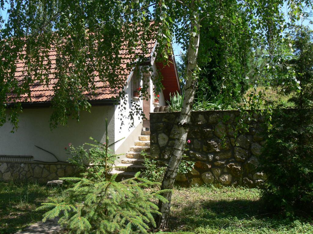 Hotel Szalma Vendeghaz Mogyorosbanya Exterior foto