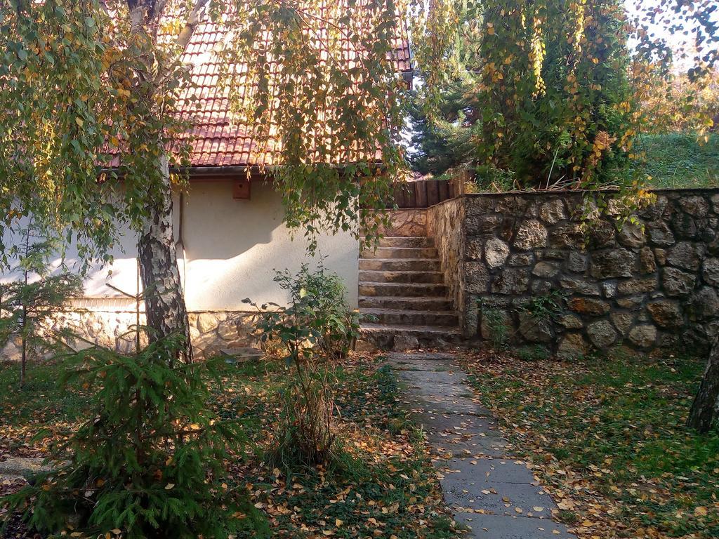 Hotel Szalma Vendeghaz Mogyorosbanya Exterior foto